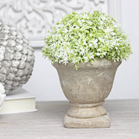 Thumbnail for Faux Medium White and Green Dianthus Potted