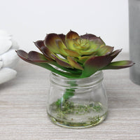 Thumbnail for Faux Deep Aubergine and Green Echeveria in Glass Jar