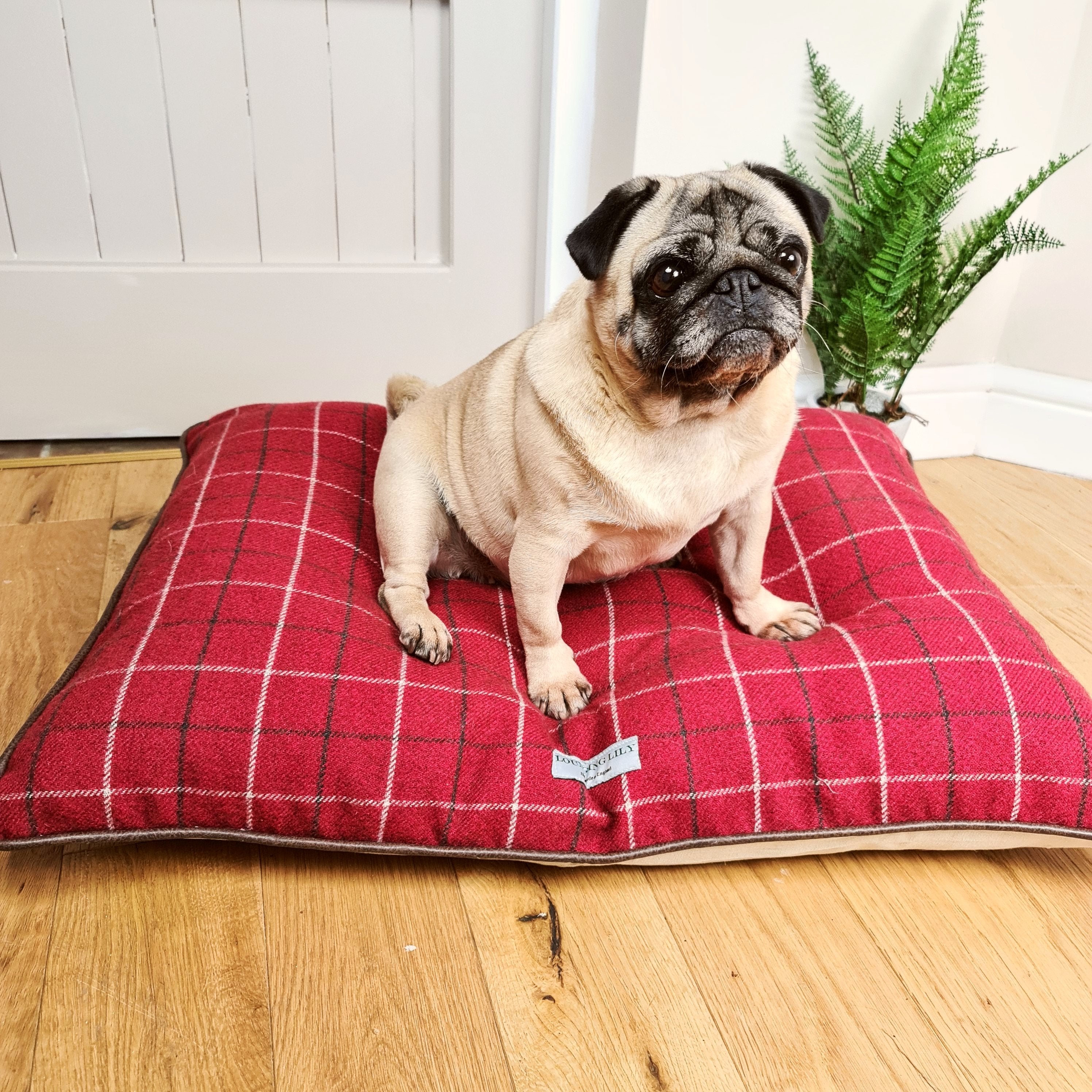 Red Checked Pillow Dog Bed