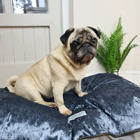 Thumbnail for Graphite Crushed Velvet Pillow Dog Bed