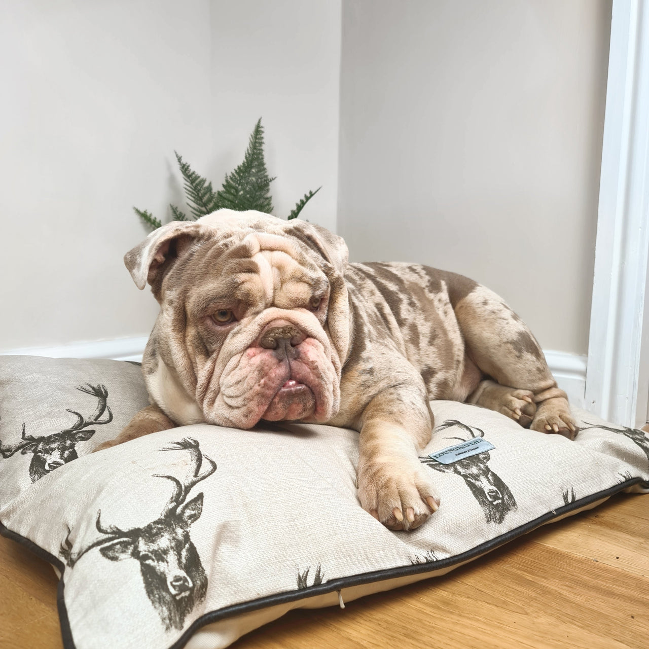 Stags Head Pillow Dog Bed
