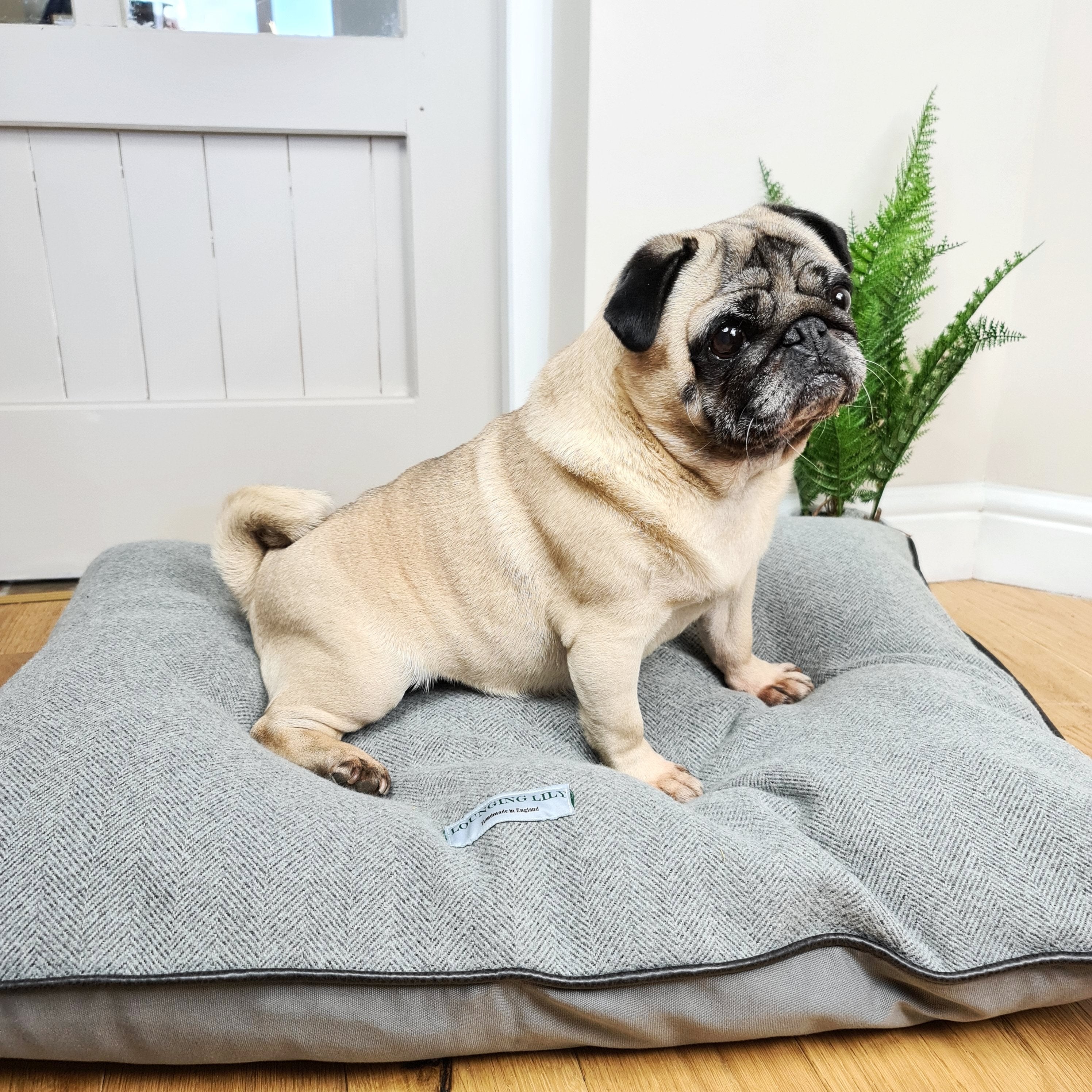 Pewter Grey Herringbone Pillow Dog Bed