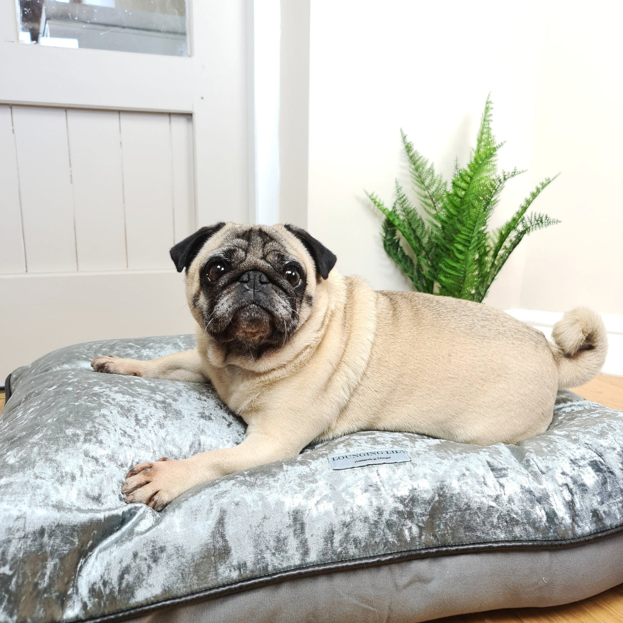Pewter Grey Crushed Velvet Pillow Dog Bed