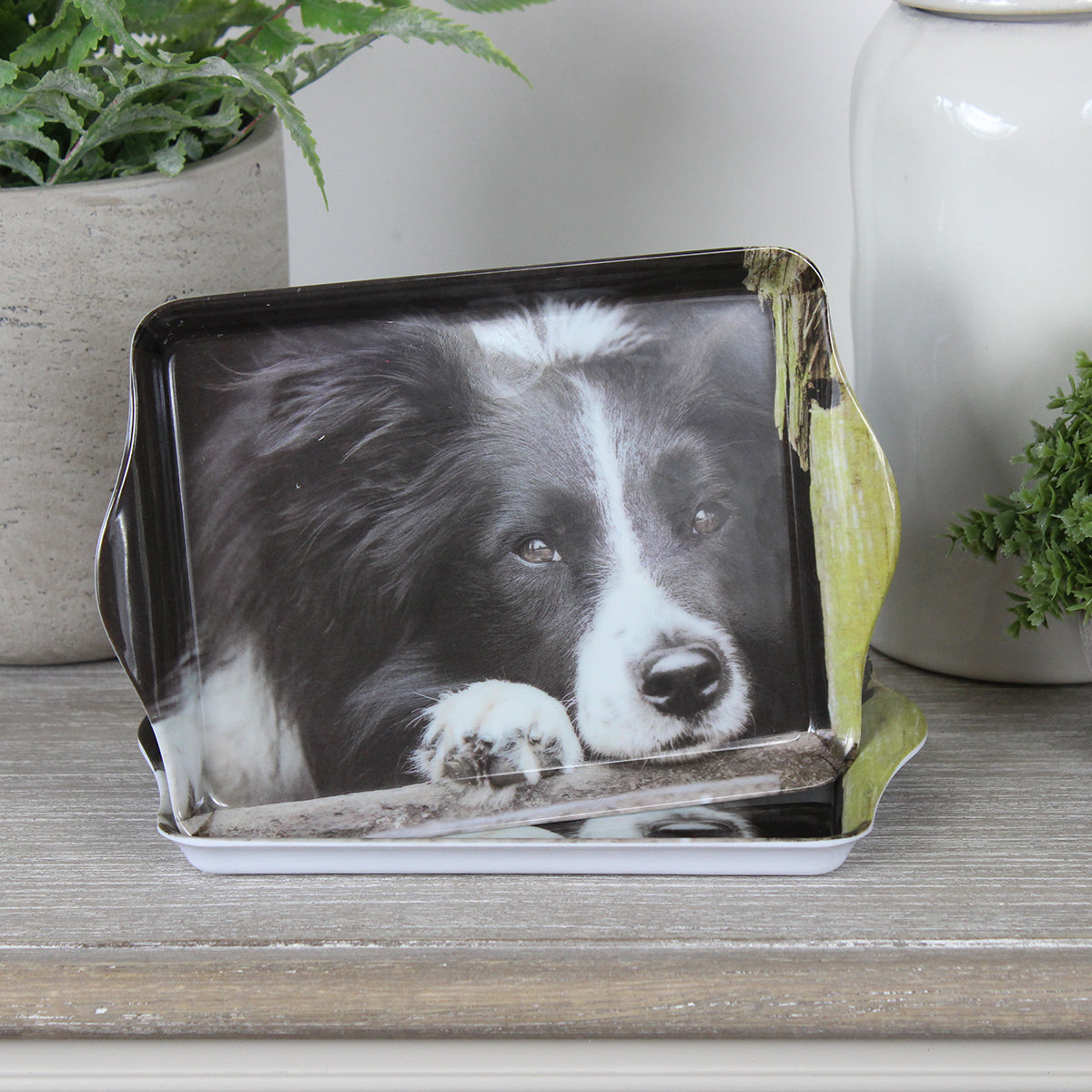 Collie Dog Trinket Tray