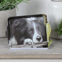 Thumbnail for Collie Dog Trinket Tray