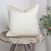 Thumbnail for Neon Oatmeal Cushion