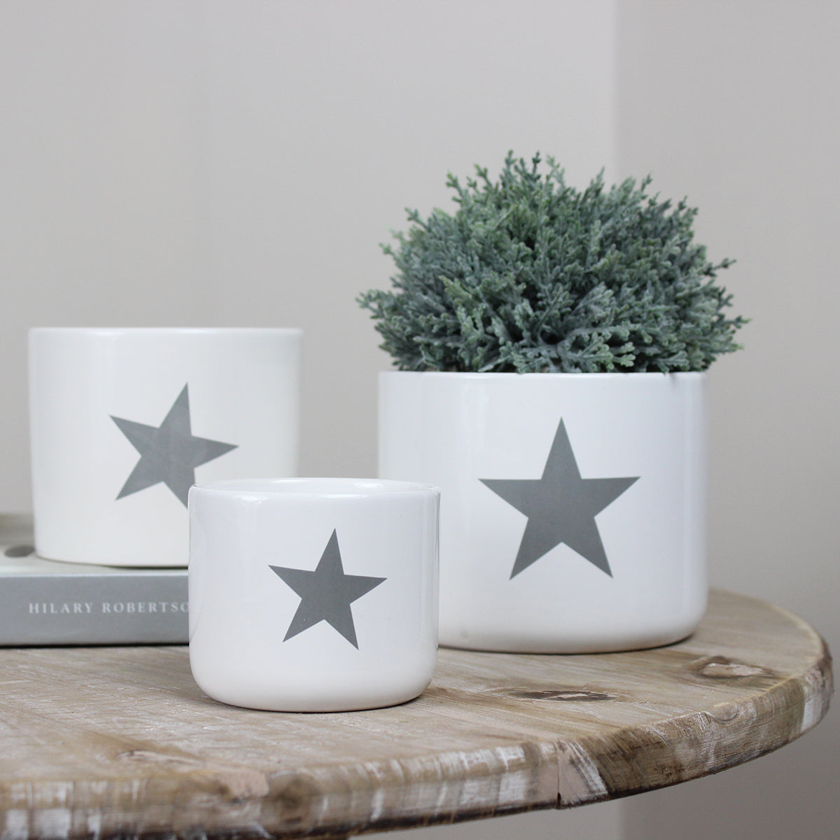 White Ceramic Pot with Grey Star