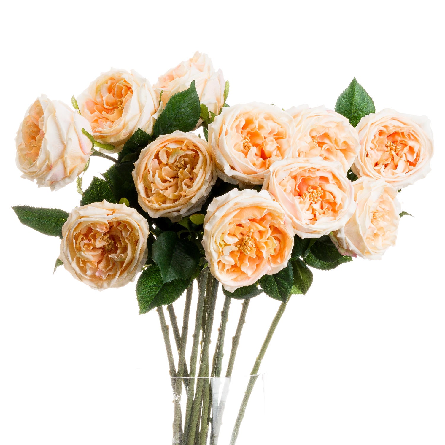 Faux Butter Portland Rose