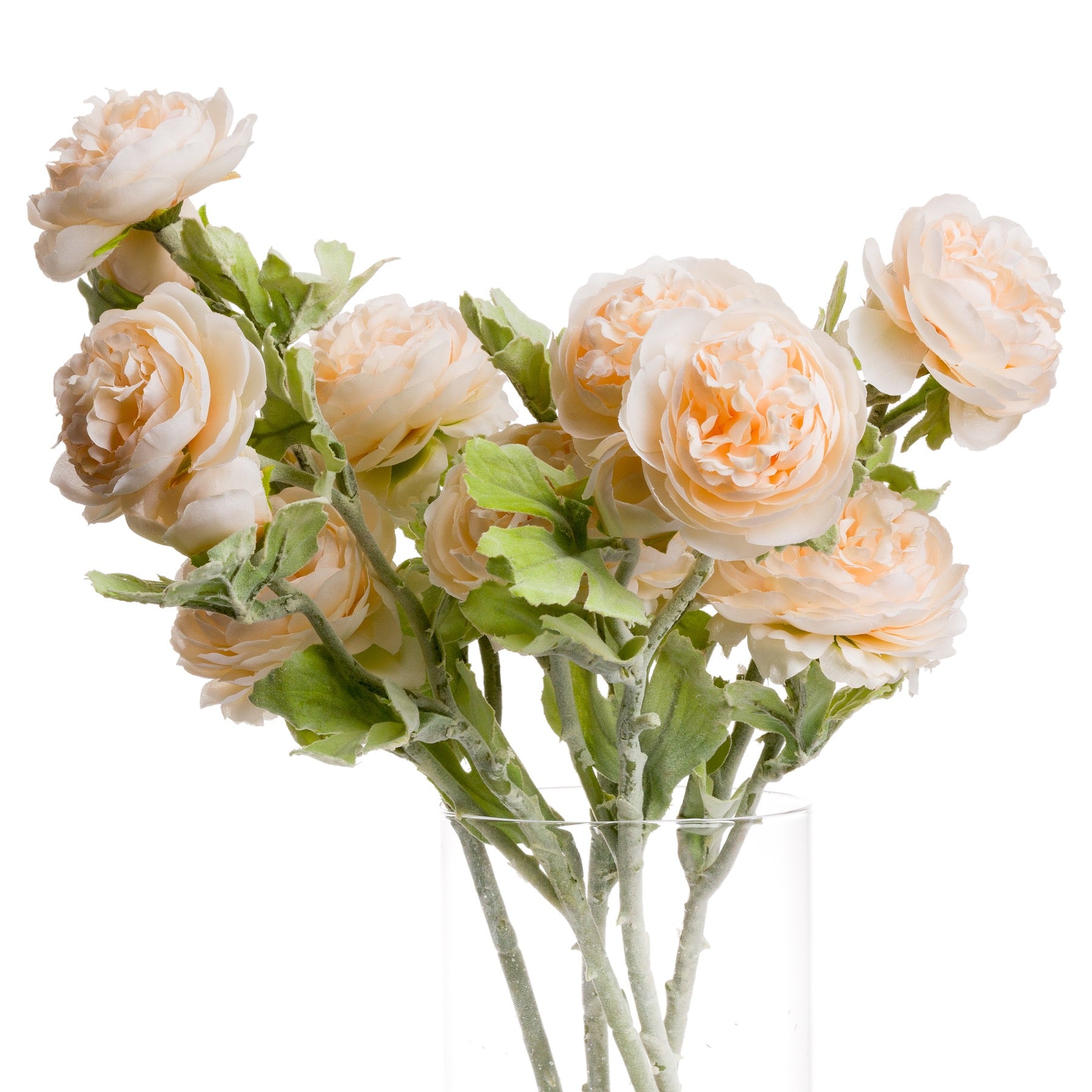 Peach Camellia Stem