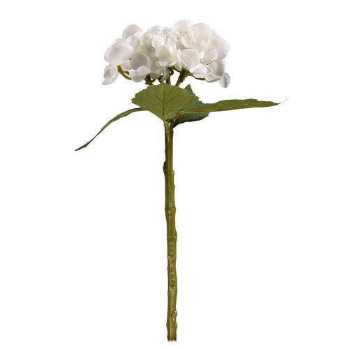 Small Single Ivory Hydrangea