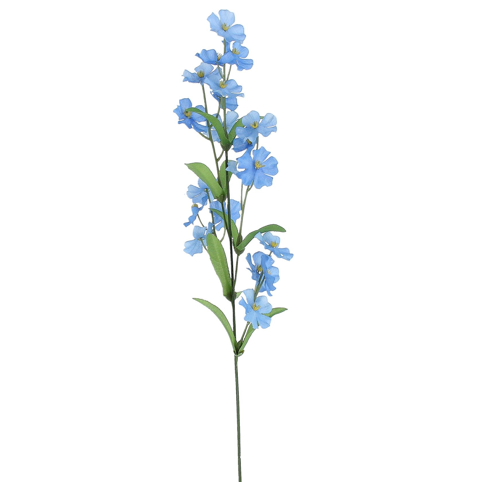 Forget Me Not Spray