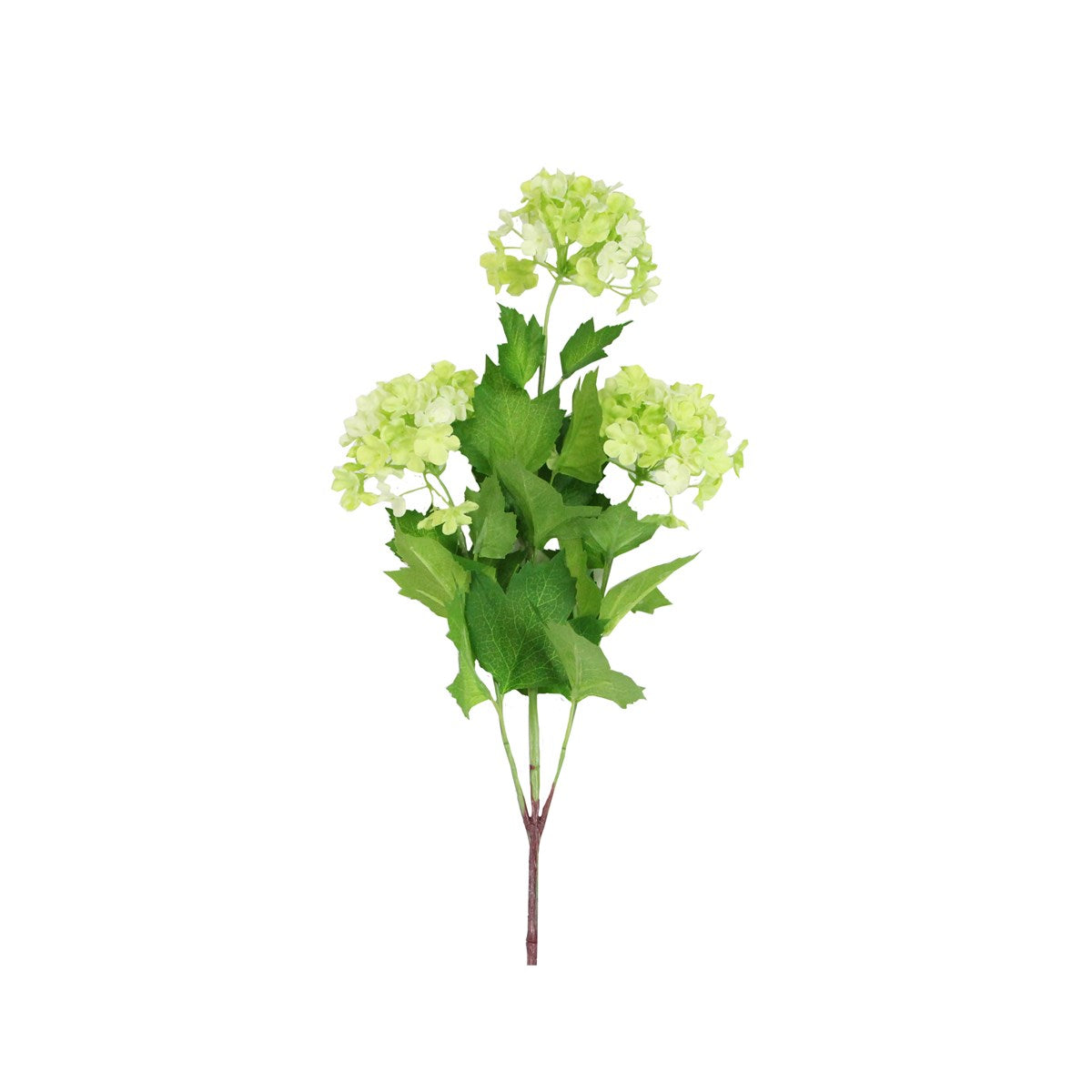 Green Snowball Spray
