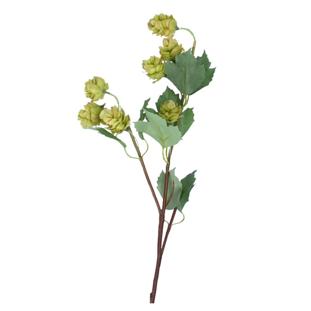 Green Hop 70cm Spray