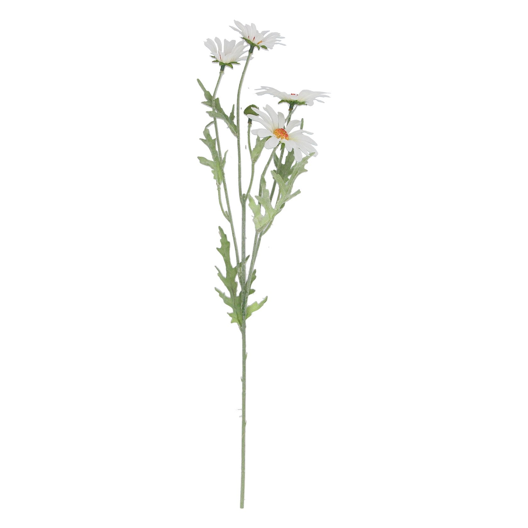 White Daisy Spray