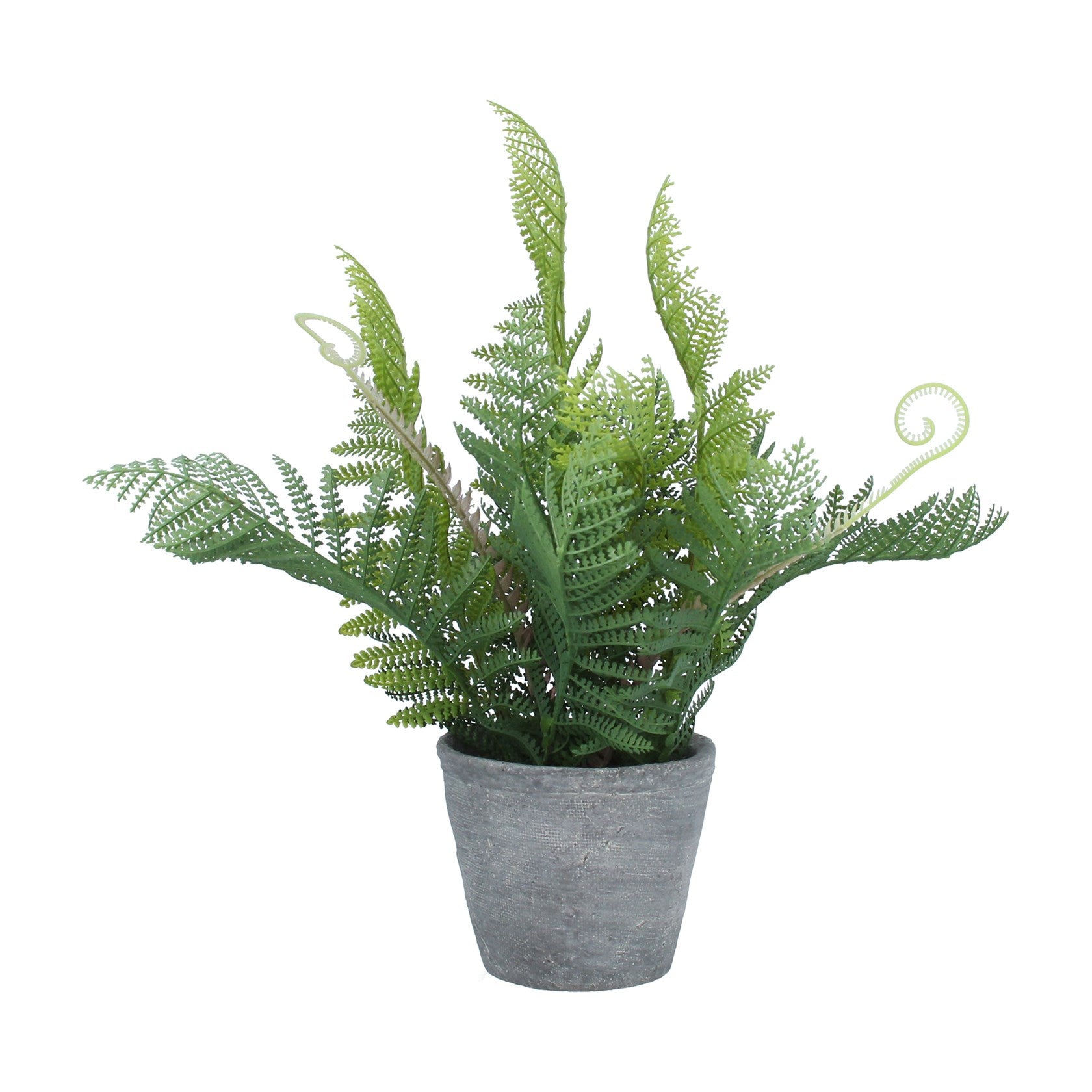 Faux Fern with Tendrils Potted Plant