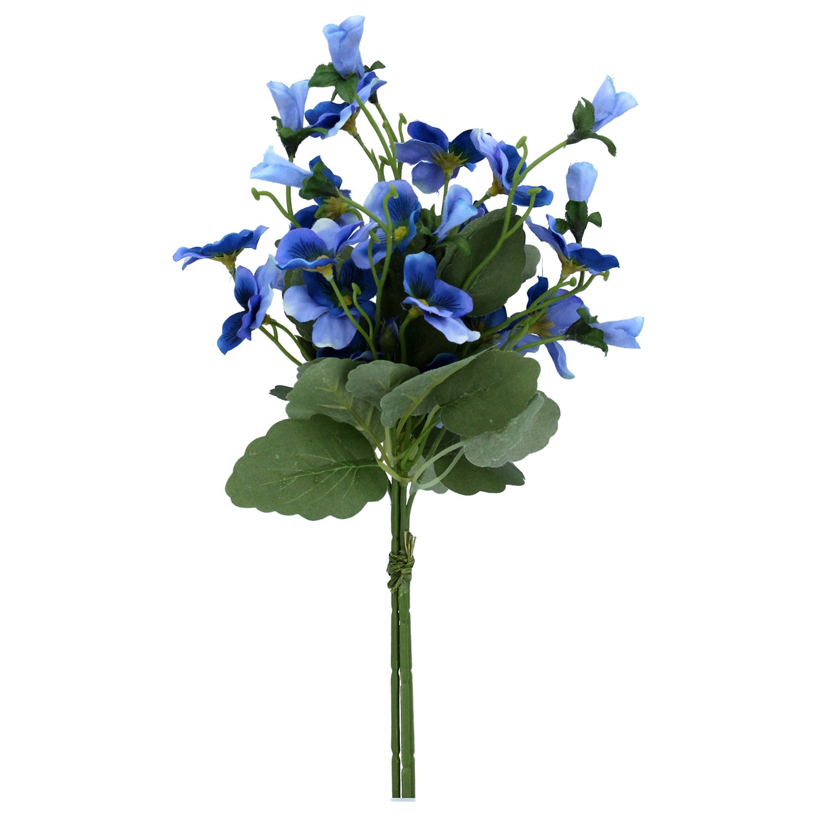 Blue Viola Bunch