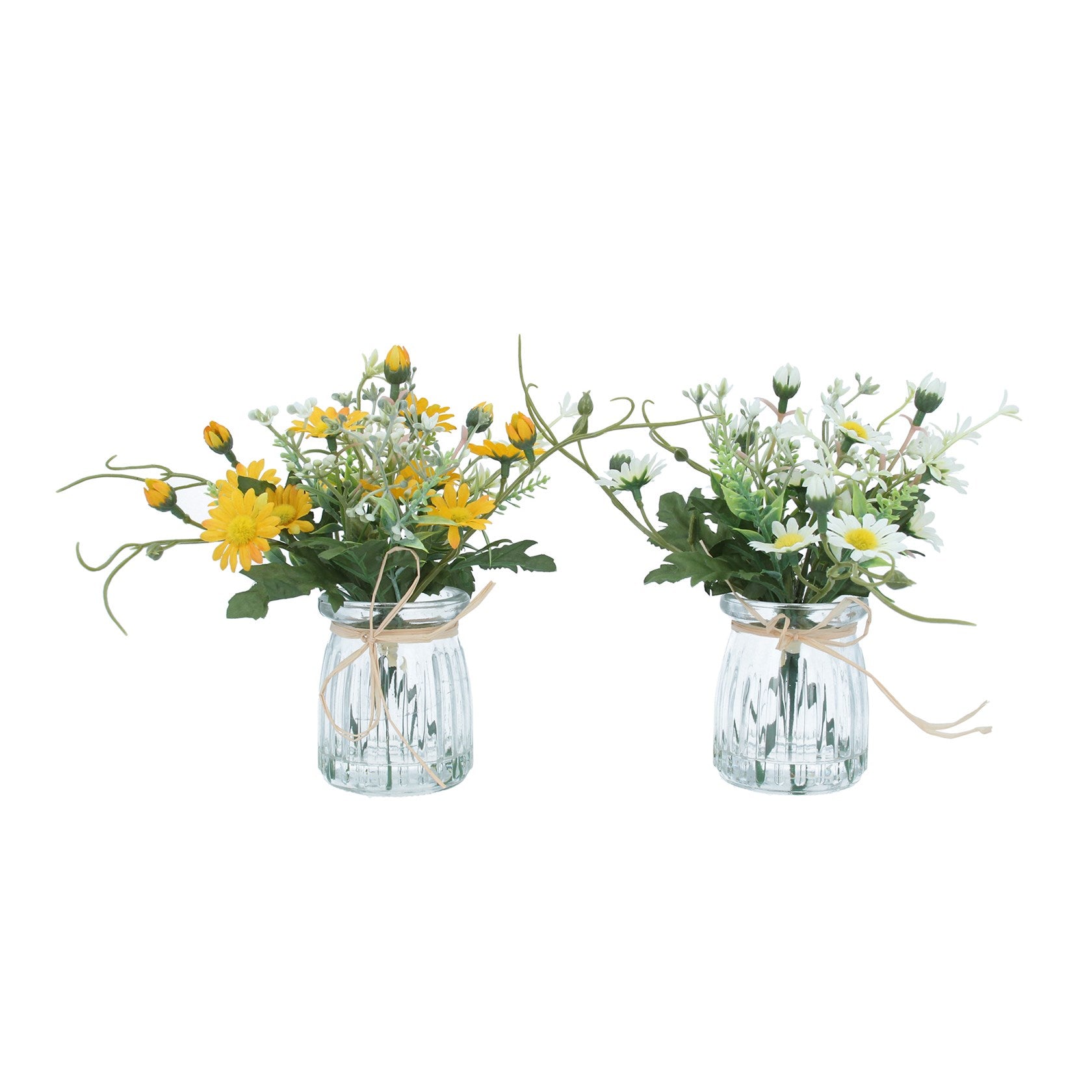 Glass Potted Dandelion/Daisy