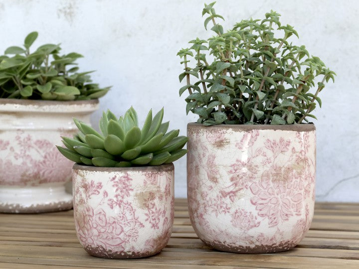 Planter Pot With Pink French Pattern