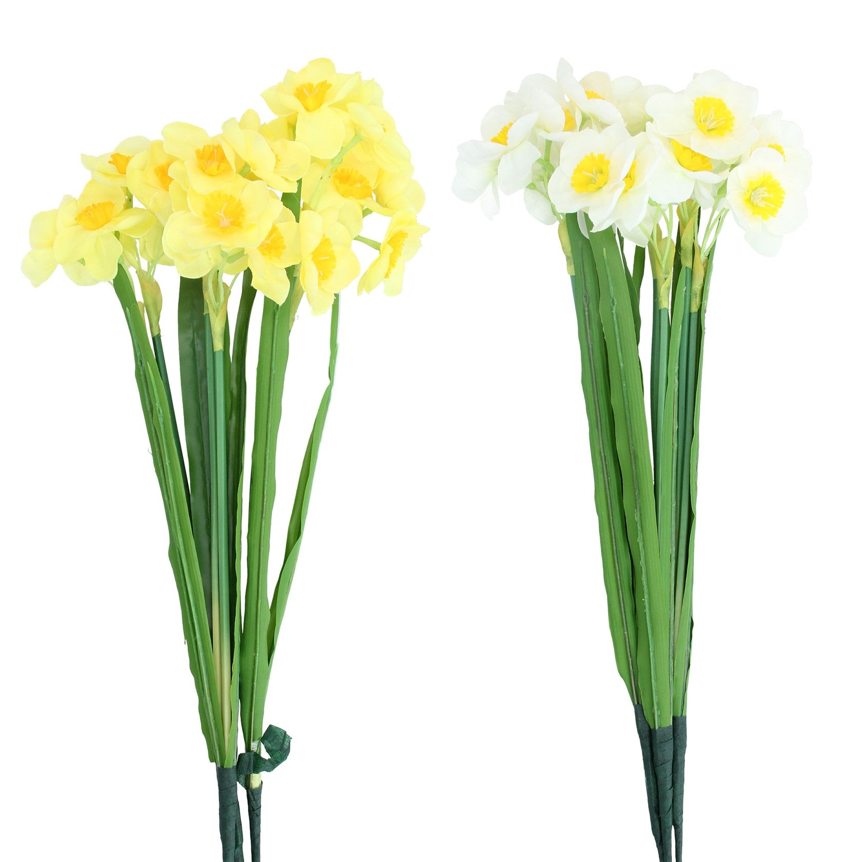 Yellow or White Narcissus Bunch