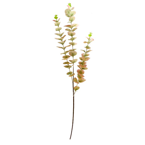 Green and Pink Eucalyptus Spray
