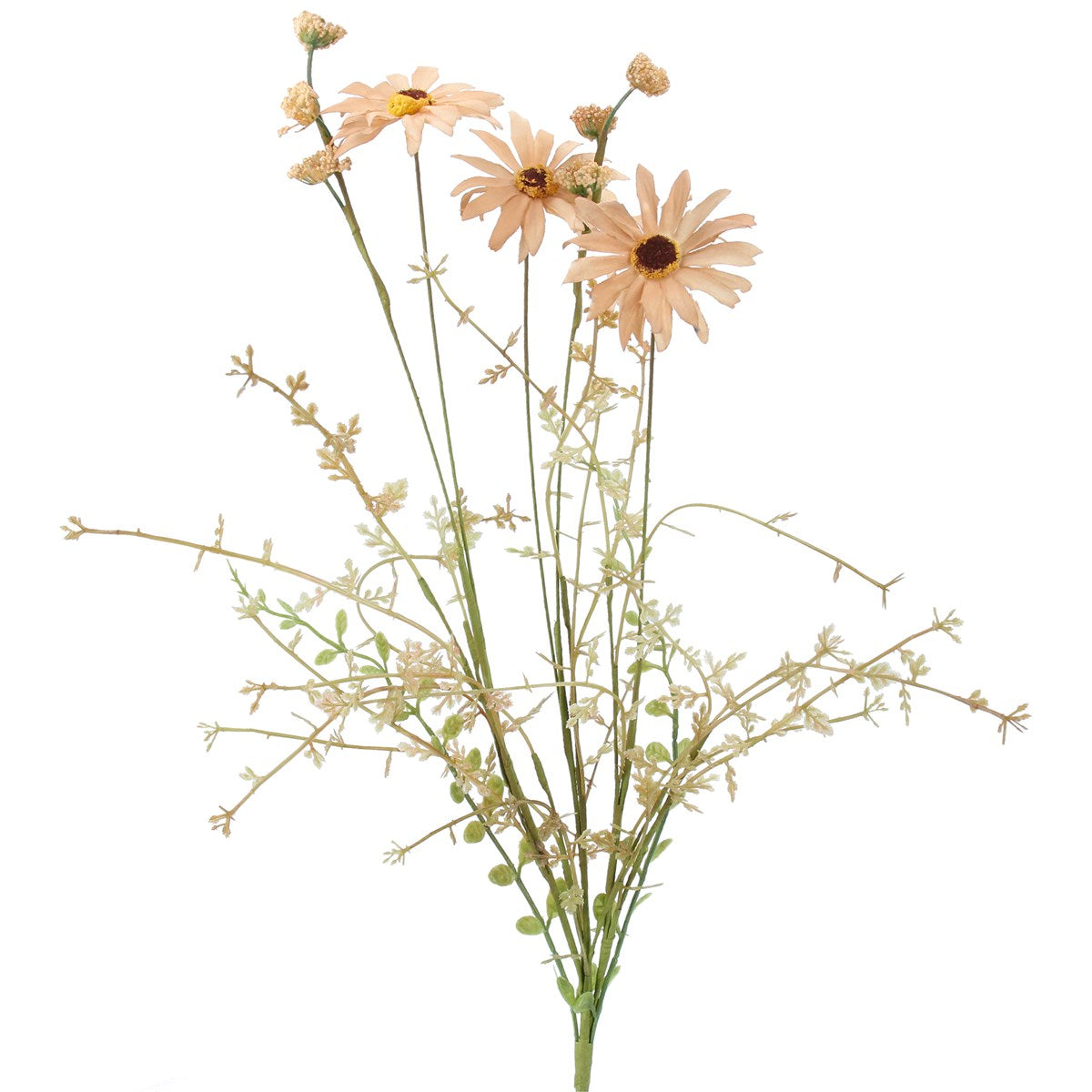 Apricot Wild Daisy Spray