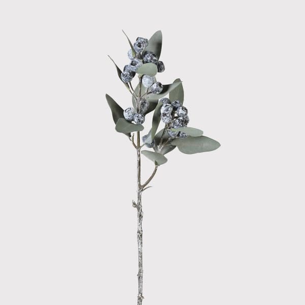 Eucalyptus Frosted Berry Spray