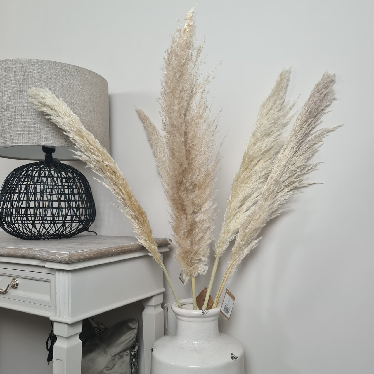Butter Pampas Grass