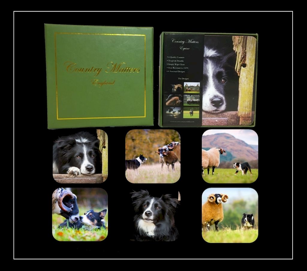 Collie coasters set of six