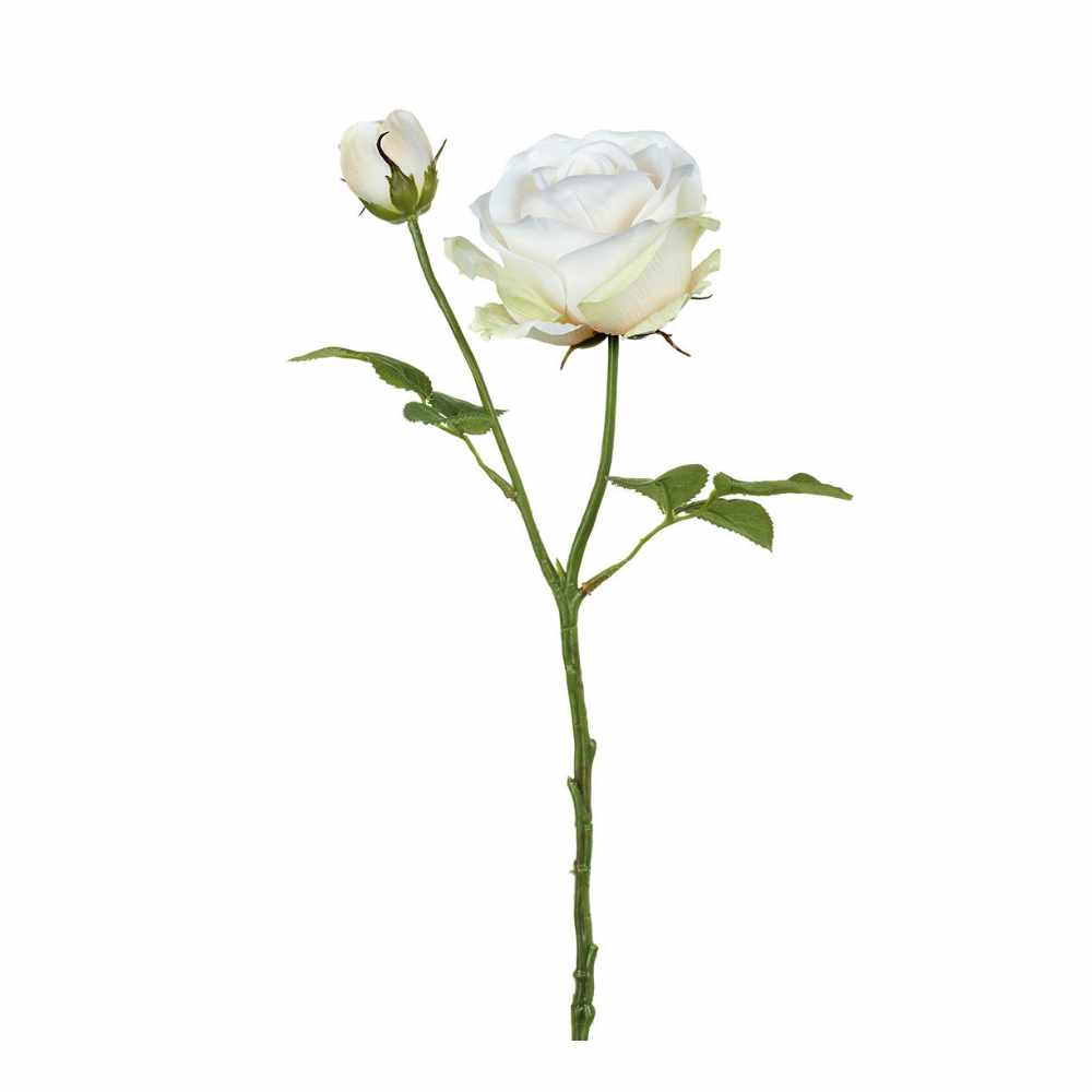 Cream Pink Aria Rose Stem