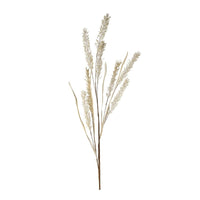 Thumbnail for Cream Wild Grass Spray