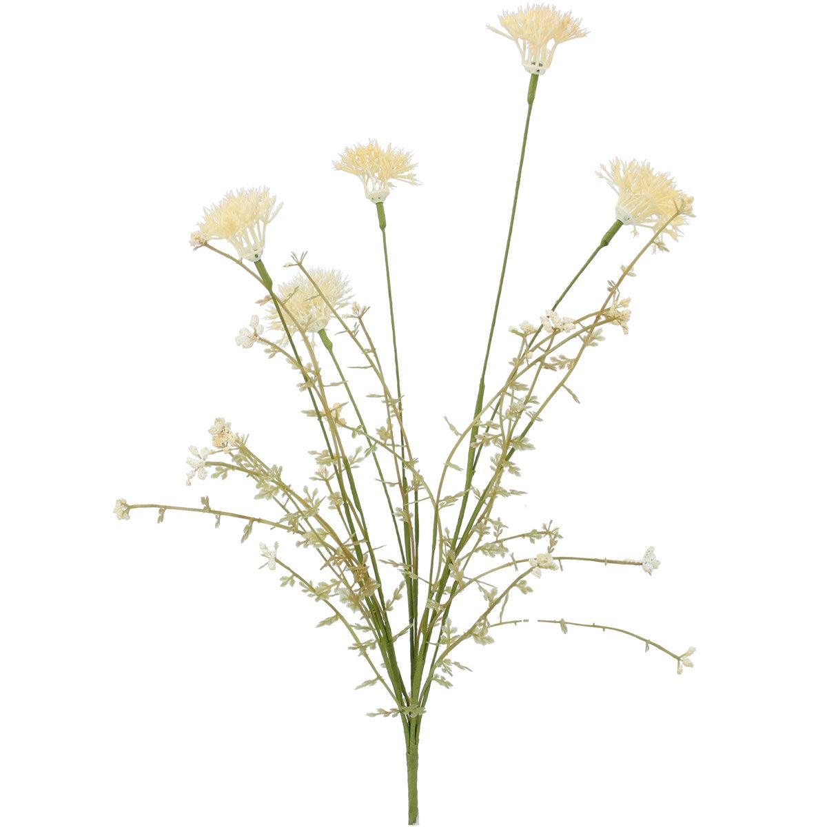 Cream Wild Thistle Spray