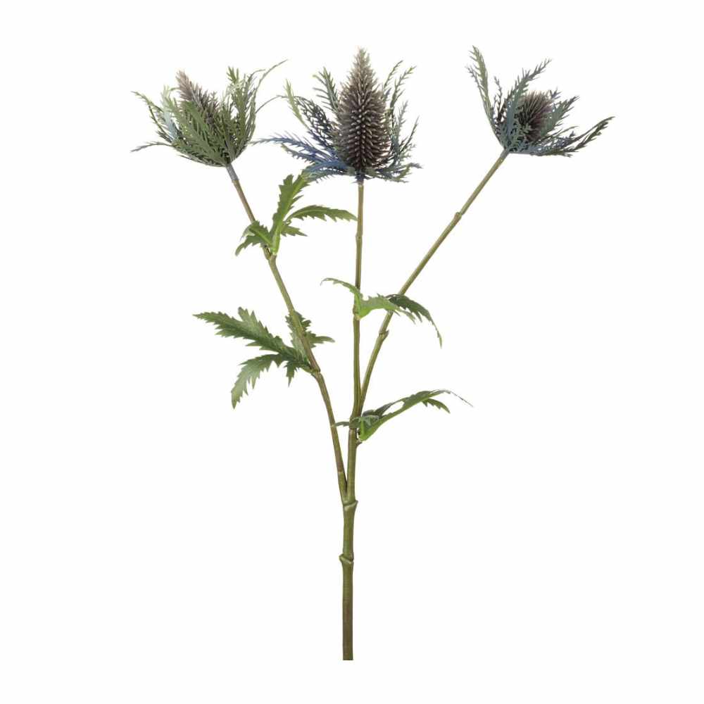 Dark Green Teasel Spray