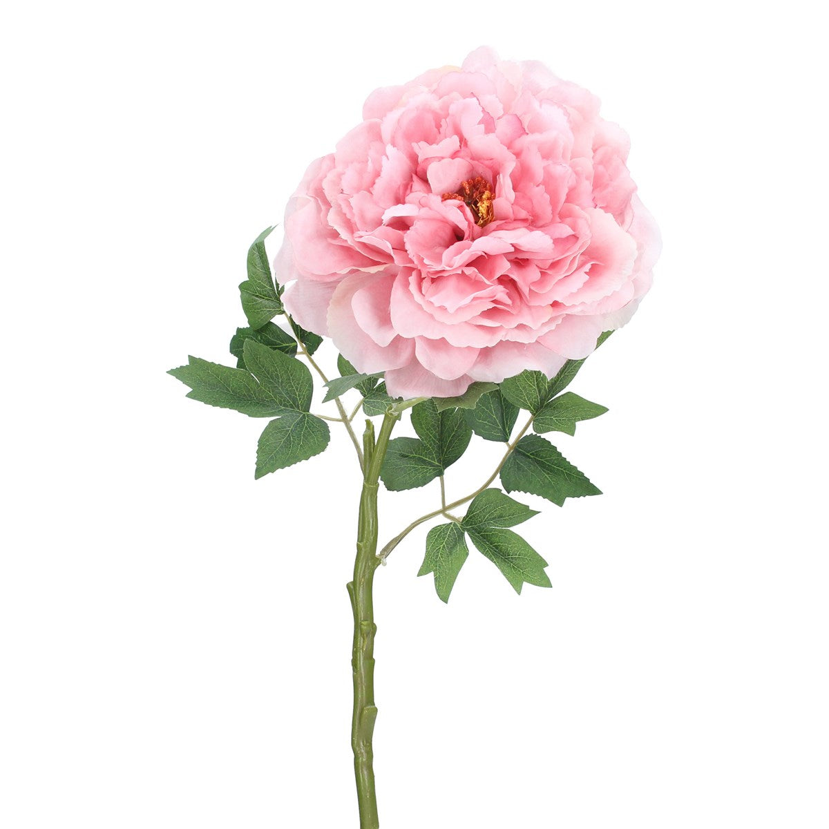 Dusky Pink Frilly Peony Stem