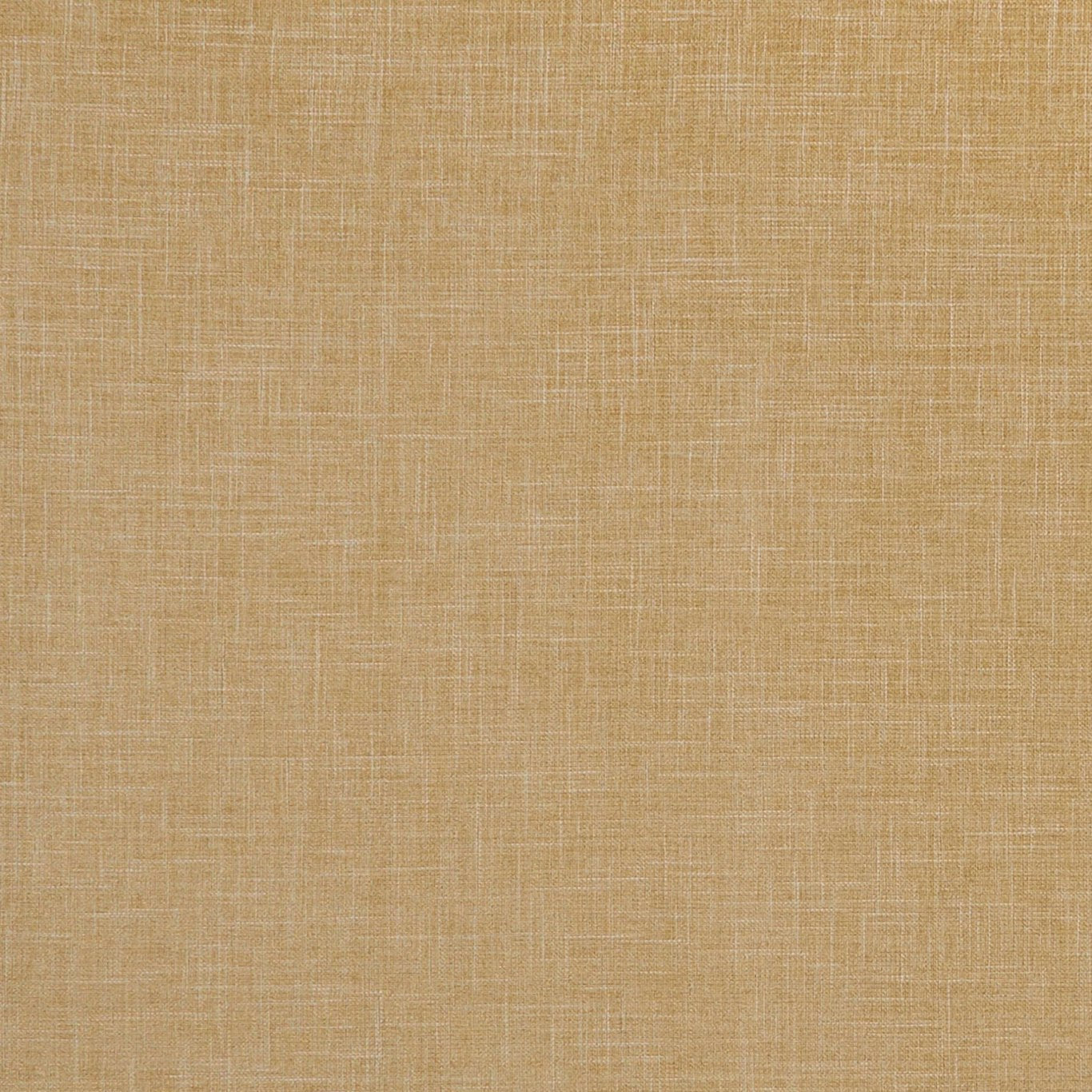 Albany Antique Curtains