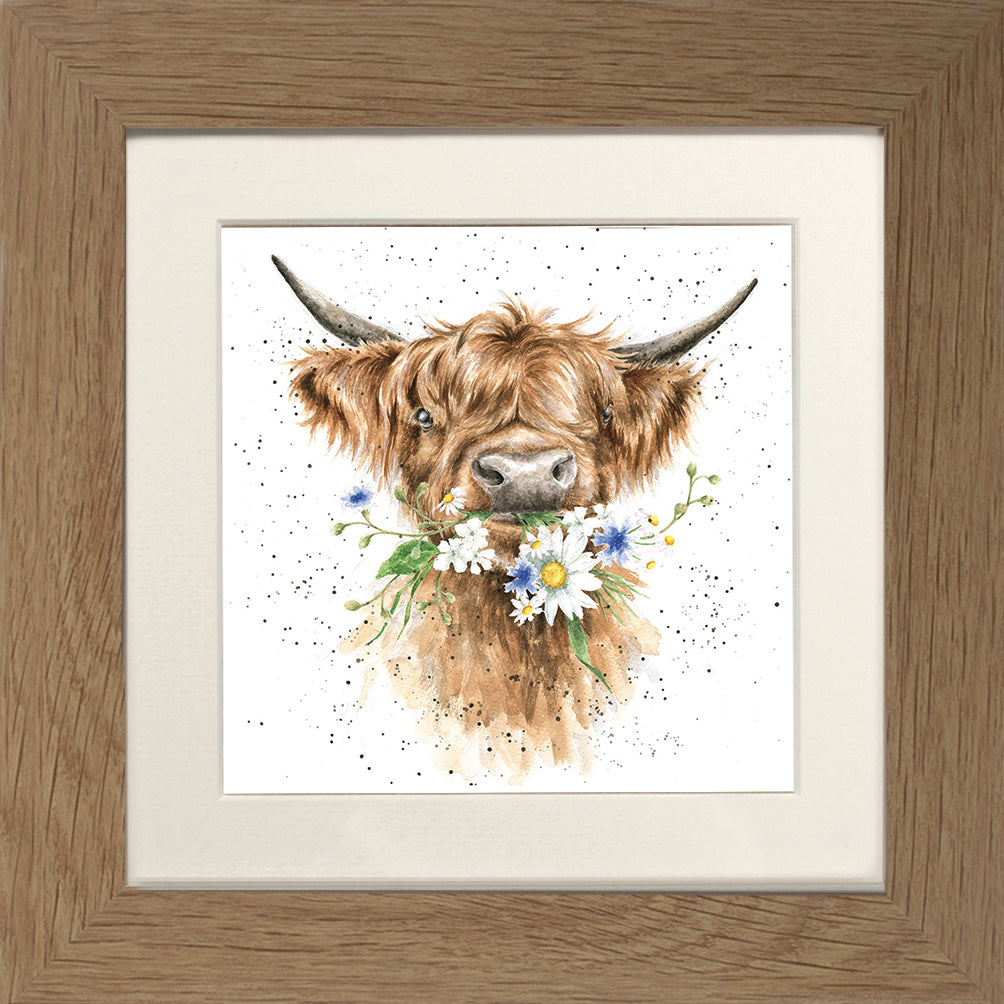 Wrendale Highland Cow Picture Daisy Coo Oak Framed Card