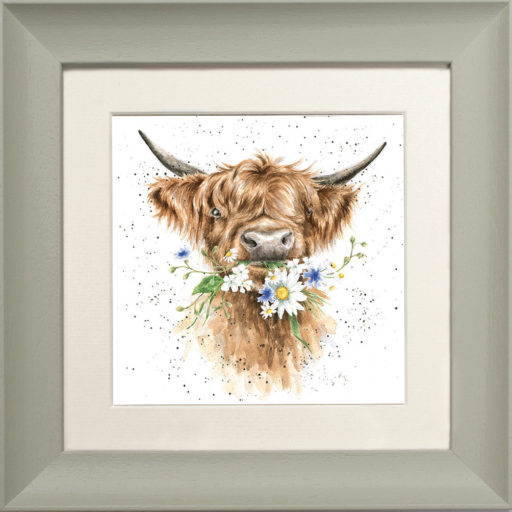 Wrendale Highland Cow Picture Daisy Coo Sage Framed Card