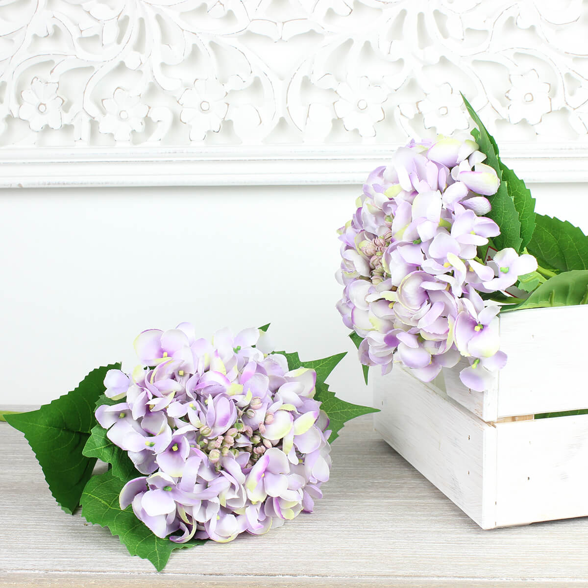 Giant Single Lilac Hydrangea