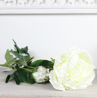 Thumbnail for Giant Peony Ivory Spray