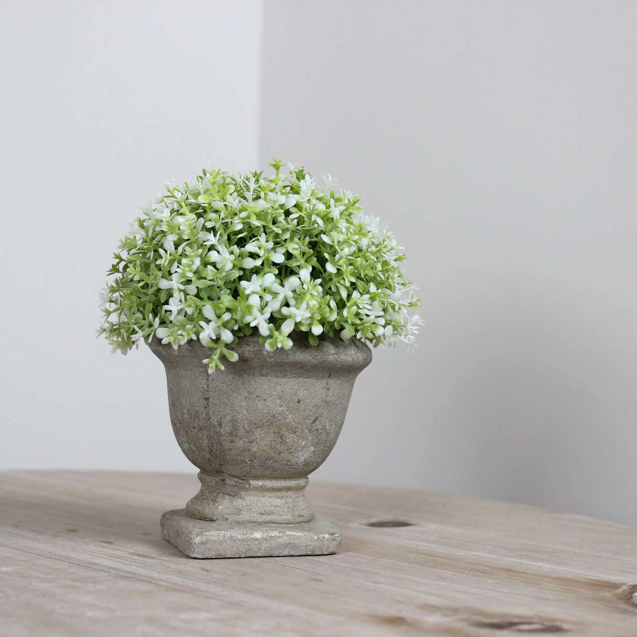 Faux Small White and Green Potted Dianthus