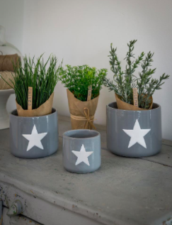 Large Grey Ceramic Pot with White Star