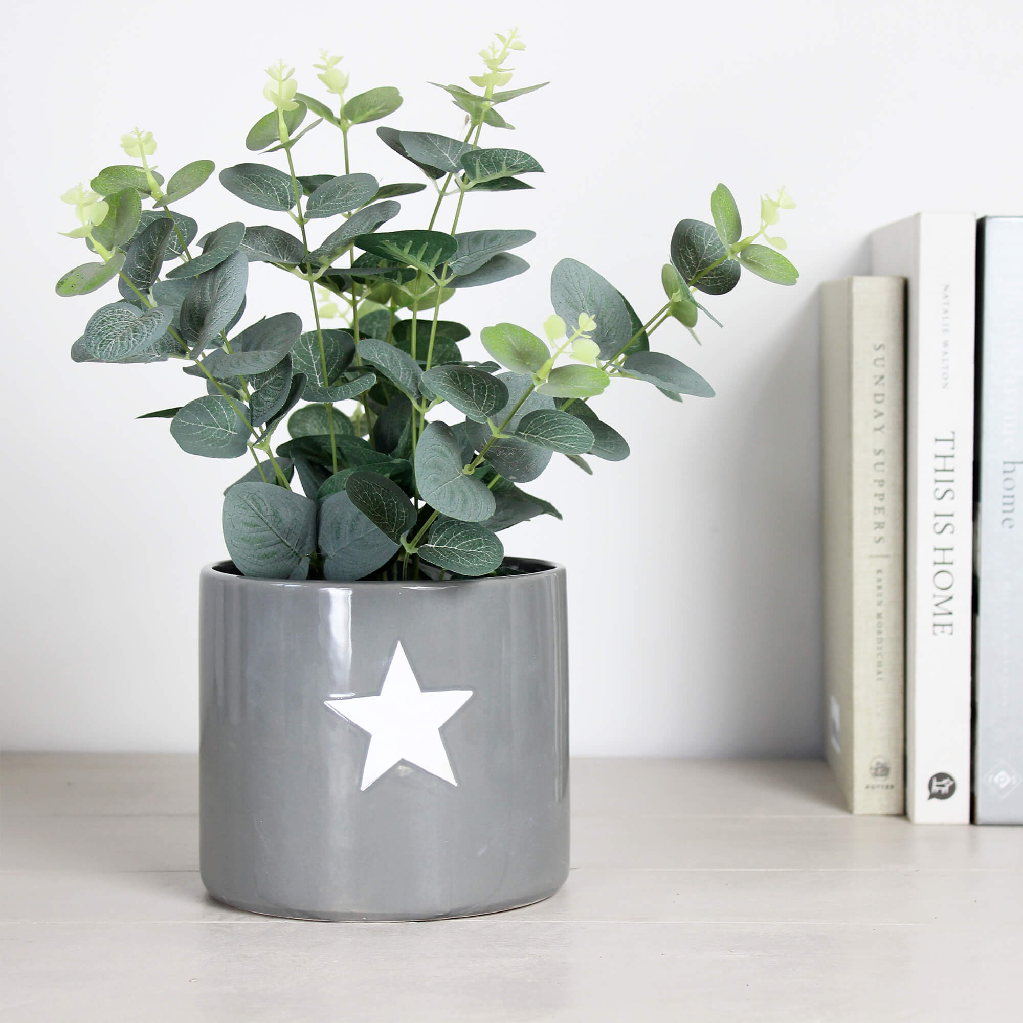 Grey Ceramic Flower Pot with White Star