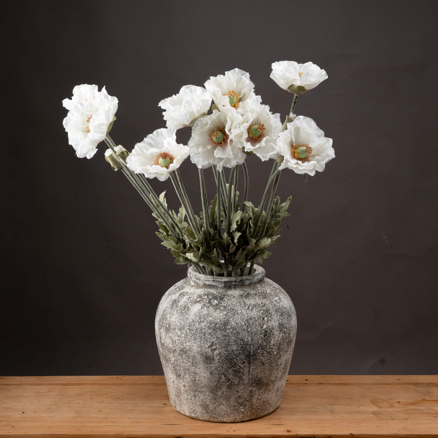 Heirloom Pepperbox Poppy Stem