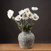 Thumbnail for Heirloom Pepperbox Poppy