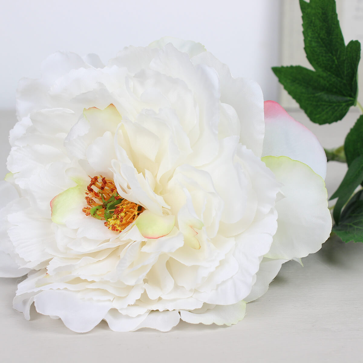 White Frilly Peony Stem