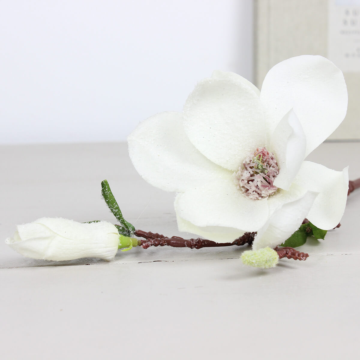 Snowfall Magnolia