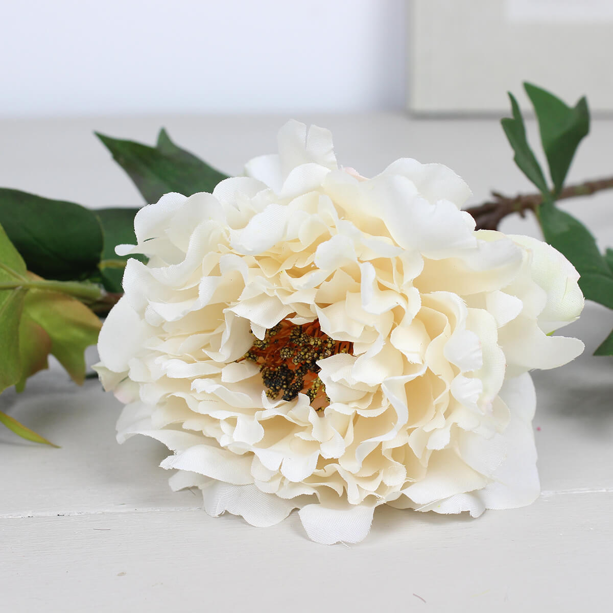 White Fashion Peony Stem