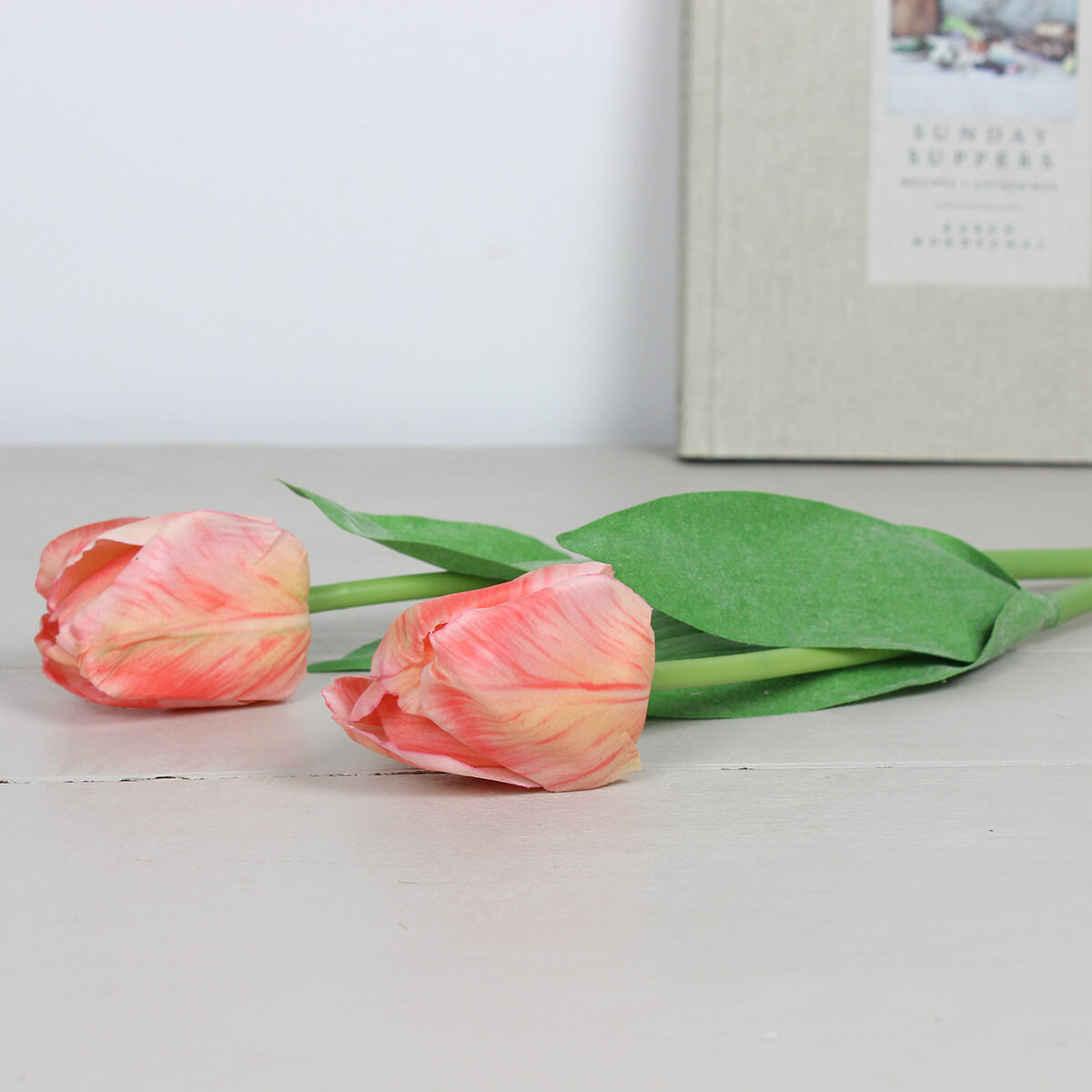 Coral Pink Triumph Tulip