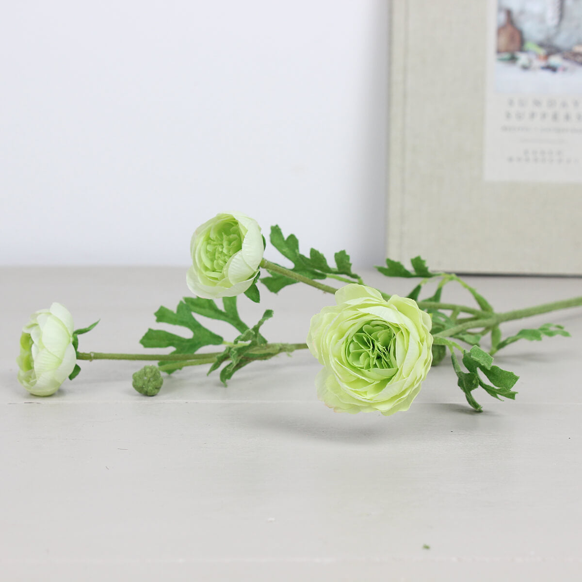 Green Ranunculus Spray