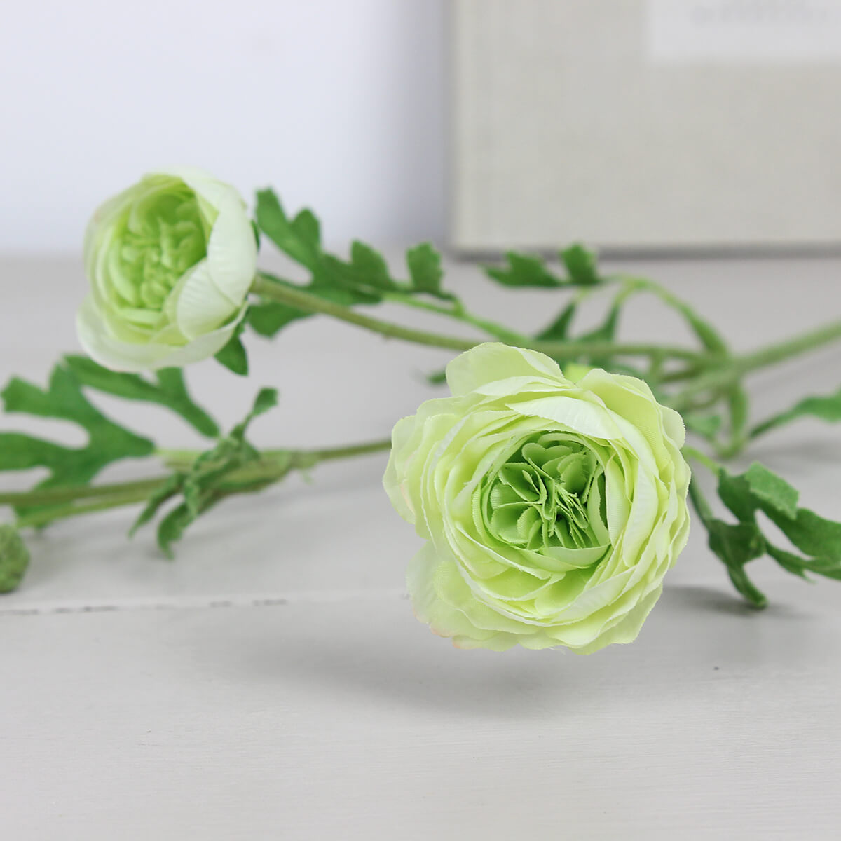 Green Ranunculus Spray