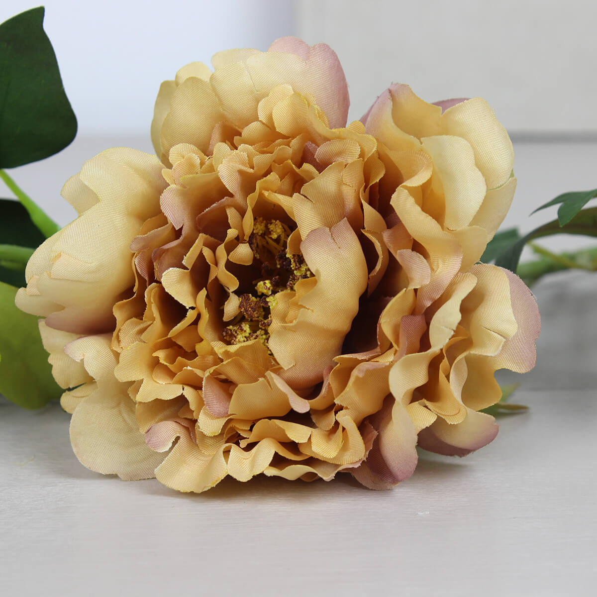 Yellow Peony Stem